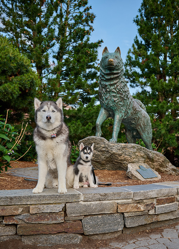 Jonathan XIV and Jonathan XV posing in front of the Jonathan statue on UConn Storrs campus.