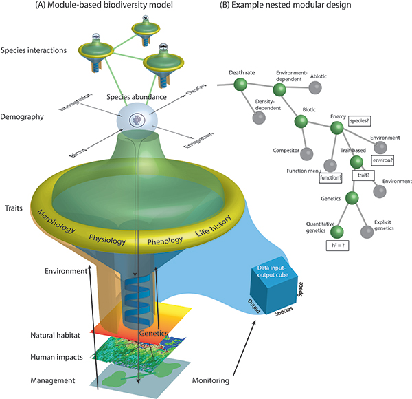 conceptual model of biodiversity projection platform