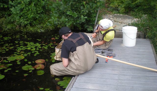 Students studying the ecology of lakes, streams and wetlands