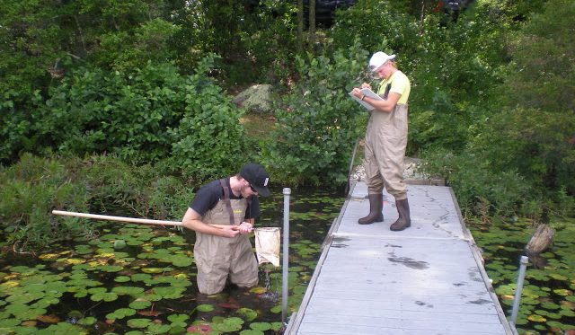 Students studying the ecology of lakes, streams and wetlands