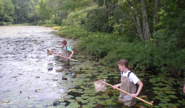 Students studying the ecology of lakes, streams and wetlands