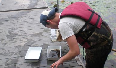 Students studying the ecology of lakes, streams and wetlands