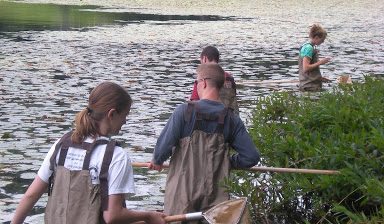 Students studying the ecology of lakes, streams and wetlands