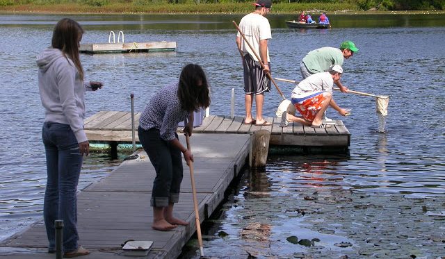 Students studying the ecology of lakes, streams and wetlands