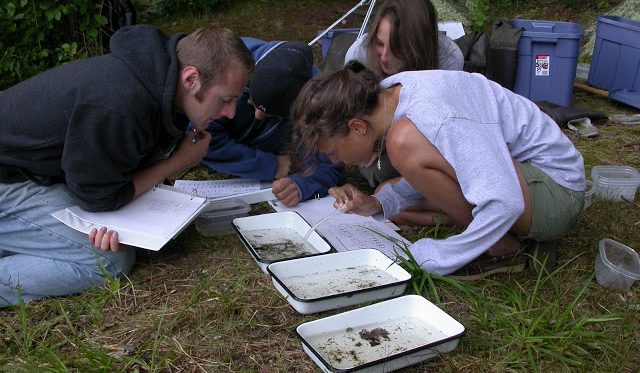 Students studying the ecology of lakes, streams and wetlands