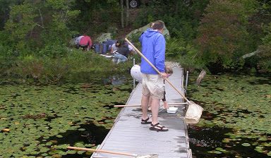 Students studying the ecology of lakes, streams and wetlands