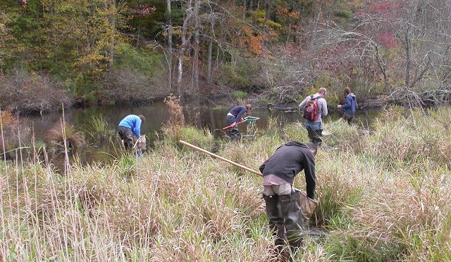 Students studying the ecology of lakes, streams and wetlands