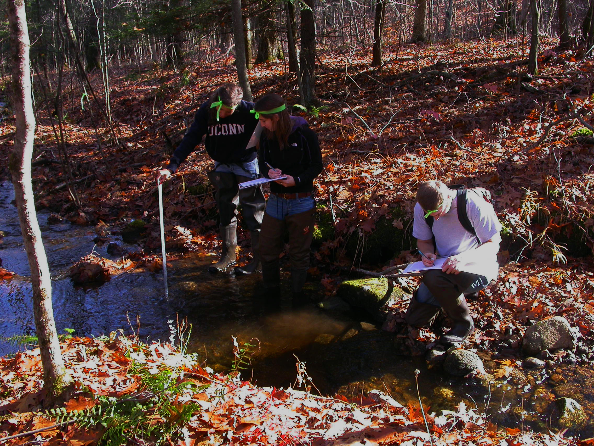 students studying the ecology of a stream